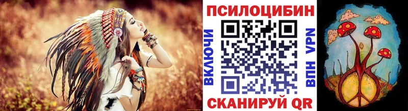 купить   Шахты  Псилоцибиновые грибы прущие грибы 